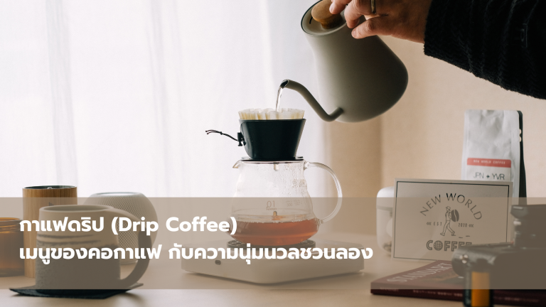 กาแฟดริป (Drip Coffee) เมนูของคอกาแฟ กับความนุ่มนวลชวนลอง